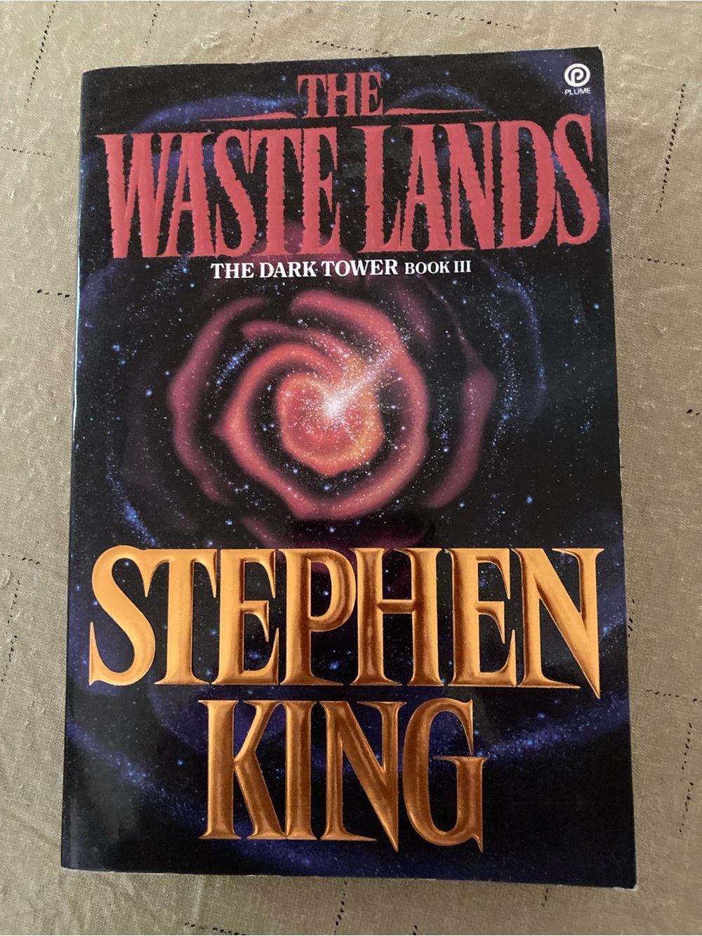 The Waste Lands:   The Dark Tower III in paperback